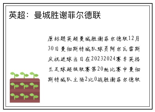 英超：曼城胜谢菲尔德联